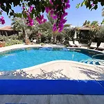 Vigdis Dalyan- Family-friendly In Dalyan Centre With Private Pool & Garden *